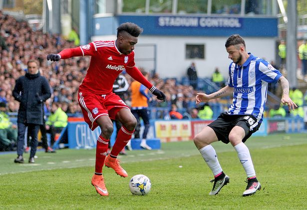 If we had read last summer that Sammy Ameobi would break a club record during his season on loan here, I daresay we all would have thought it would have meant his stay at Cardiff would have been a very successful one - sadly, most substitute appearances in a season tells you all you need to know really. Quite why after so many anonymous and insignificant showings already, our manager thought what we needed was another seventy minutes of Ameobi after Anthony Pilkington's injury, I don't know*. 