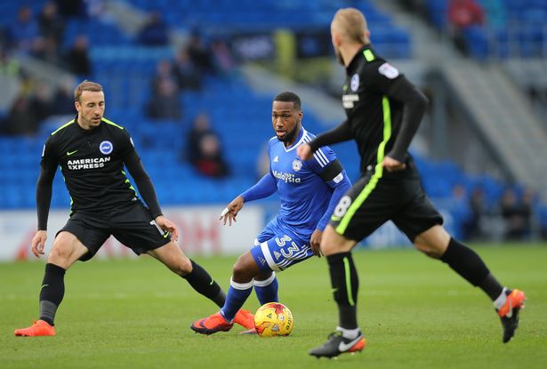 Moved back to a more normal wing role as part of Neil Warnock's plan to contain Brighton, I thought Junior Hoilett fell slightly of the standards he's set in recent games yesterday. However, he still did enough to be rated as one of our best performers on the day - if there is a suspicion that Keiron Richardson and Marouane Chamakh will not see their short term contracts renewed when they expire next month, the other two of Neil Warnock's early signings (Sol Bamba did well again yesterday) have made themselves, arguably, our most important players.*